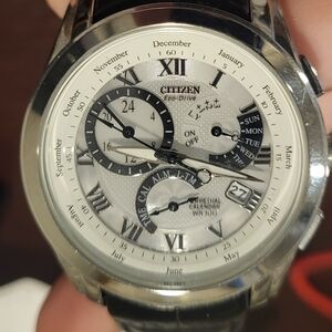 Citizen E870 Eco-Drive Perpetual Calendar Mens Watch White Dial Black Leather